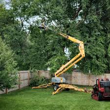 Best Storm Damage Tree Cleanup  in Timber Pines, FL